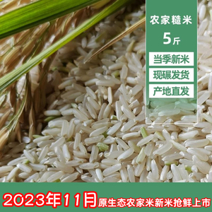 新糙米香糙米2023农家自产胚芽米发芽米玄米低脂五谷杂粮粗粮5斤