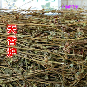 80山草中药淘宝天香炉中草药500克天吊香朝天罐 金锦香小金钟金香炉