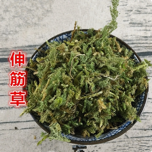 山间谷草   伸筋草500g野生伸筋草 可搭配远志益智仁马尾牛尾菜