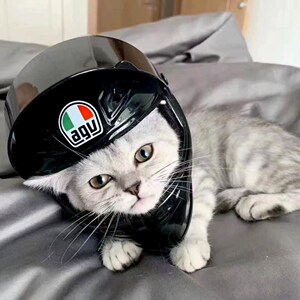 小狗头盔猫咪宠物机车摩托车夏季高质量安全帽摩托帽小型犬可爱网