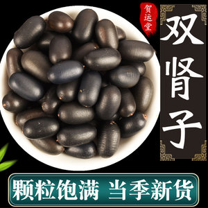 双肾子野生正品