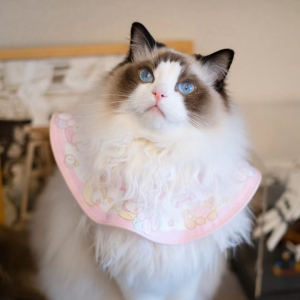 【宝贝晚安】原创猫咪防水口水巾 吃饭围兜 可爱粉嫩卡通口水鸡
