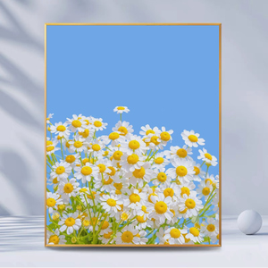 数字油画diy手工填色治愈简约小清新花卉小雏菊减压油彩画装饰画