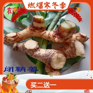 1斤包邮新鲜现挖闭鞘姜白石笋广商陆水蕉花樟柳头罗汉姜姜科中药