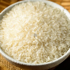 2019新米东北大米内蒙古兴安盟扎赉特旗保安沼长粒香5公斤农家米