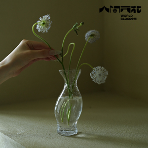 人间开花 原创日式玻璃透明感气泡扭扭异形小花瓶