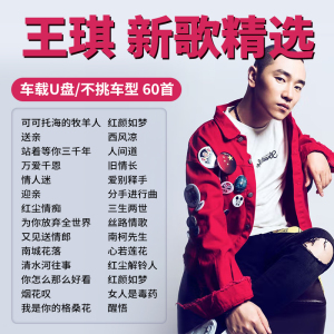 汽车载u盘王琪专辑可可托海的牧羊人无损音乐流行歌曲车用优盘mp3