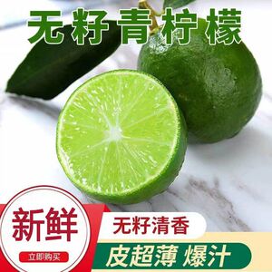 无籽青柠檬新鲜商用小青柠奶茶店专用一级塔希提绿宁檬非泰国进口