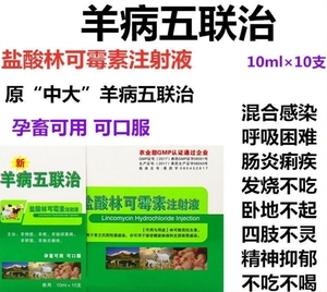 兽药兽用牛羊五联治注射液林可霉素注羊病五连治羊痘羊瘟咳喘高热