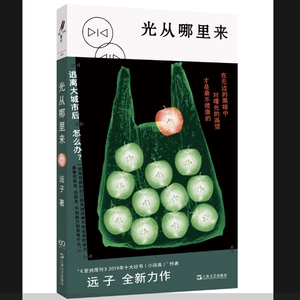 光从哪里来（“《亚洲周刊》2019年十大好书（小说类）”作者远子全新力作）