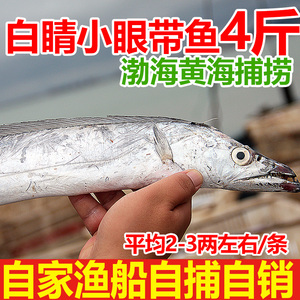 新鲜渤海带鱼整条4斤带鱼小眼白睛刀鱼段深海鲜活特级大胶山东