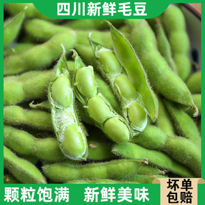 四川新鲜毛豆农家蔬菜5斤现摘新鲜毛豆荚带壳青豆绿豆荚大豆_阿里巴巴