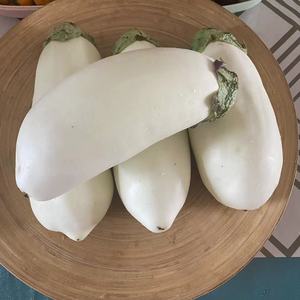 湖北白茄子