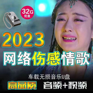 汽车载u盘2024抖音网红热门伤感流行情歌无损高音质车用MP3优盘