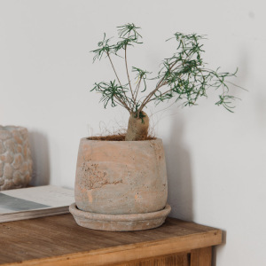 此莳 圆形收口带托盘花盆手工贴沙红陶透气素烧复古陶盆