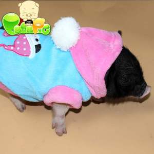 精品宠物小香猪衣服小香猪用品包邮宠物猪服装猪猪搞笑衣服