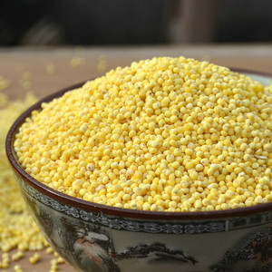 新货大粒黄米 粘稠大黄米粘黄米糯小米 五谷杂粮500g小米粥黄小米