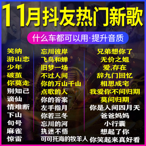 汽车车载u盘带2020抖音网络最新网红dj热歌曲无损高音质车用usb音乐