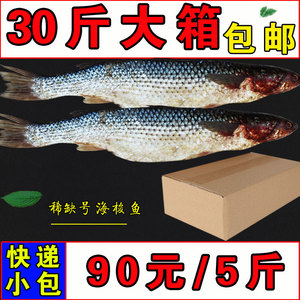 【大梭鱼】大梭鱼品牌,价格 - 阿里巴巴