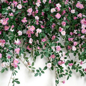 在野蔷薇a玫瑰仿真花藤空调管道缠绕假花藤蔓装饰花艺背景遮掩垂