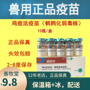 兽药鸡痘活疫苗痘匹克鸡痘疫苗禽疫苗鸡疫苗禽用 (1000羽) 1瓶价