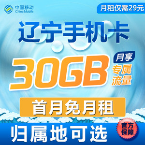 辽宁大连移动手机卡流量上网卡4g号码卡国内通用低月租语音大王卡