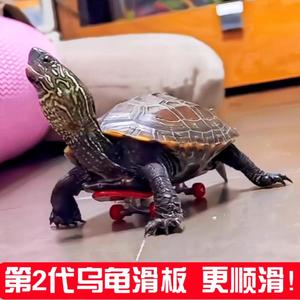 乌龟小滑板车手指指尖迷你玩具鹦鹉滑板模型挂件抖音同款网红宠物