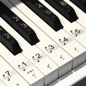 钢琴键盘贴纸88键彩色透明61电子琴手卷五线谱简谱按键音标键位贴