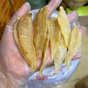 130头尖尾黄花胶 南美金龙鱼胶鱼肚 海产品干货250克