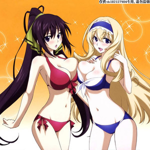 c020 infinite stratos无限斯特拉托斯二次元本子动漫112份