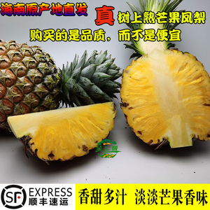 海南树上熟芒果凤梨新鲜正当季台农23号金芒凤梨净重5斤/8斤中果