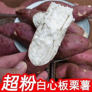 正宗白心板栗红薯9斤新鲜蔬菜当季农家沙地番薯地瓜5斤山芋