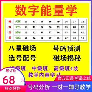 数字能量学八极灵数手机选号测号预测分析车牌号八星磁场辅导学习
