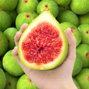 威海青皮无花果鲜果4斤新鲜现摘山东绿皮糖包子当季孕妇水果包邮5
