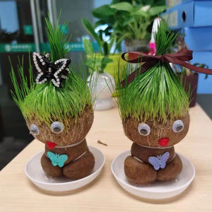 幼儿园儿童种植小盆栽头上长草植物宝宝diy种草种子草头娃娃趣味