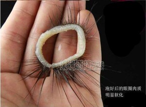80tb194573830淘宝羊眼圈 女性 四性兽羊眼圈套 男用 男性情趣
