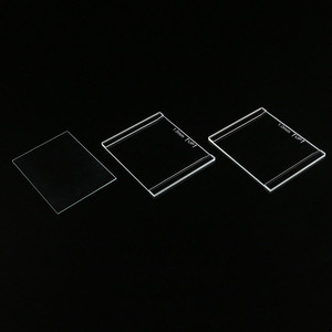 western blot玻璃短板 wb电泳厚玻璃板 通用伯乐bio-rad 1653308