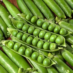 新鲜豌豆荚云南带壳毛豆四季豆青豆蚕荷兰甜豆角新鲜蔬菜5斤包邮