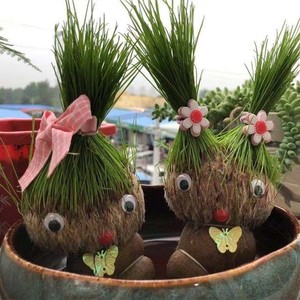 草头娃娃小盆栽头上浇水长草的植物娃娃头发玩偶可爱动物绿草绿植