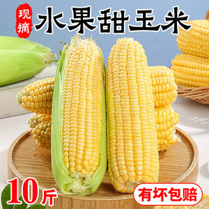 广西农家水果玉米9斤新鲜生吃甜玉米棒子粘苞谷米现摘糯包邮蔬菜5