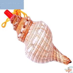 鸢尾项链小螺号海螺号角可吹口哨哨子天然宝宝玩具音乐响螺贝壳