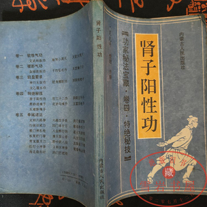 正版旧书肾子阳性功道家武当纯阳内功锁精固液功家秘法健体强身操