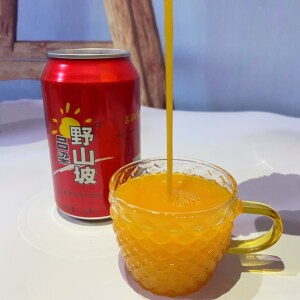 山西特产吕梁野山坡生榨沙棘汁易拉罐果汁饮料热卖310ml10瓶包邮