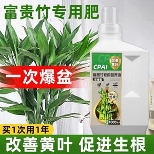 富贵竹营养液专用治黄叶生根水培植物竹子龙竹转运竹观音竹通用型