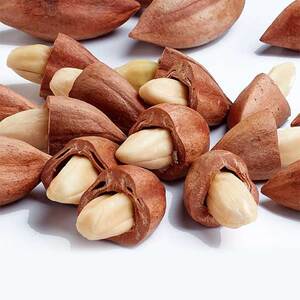 原装进口菲律宾马荣火山霹雳果仁坚果生酮素食低碳零食特产80g