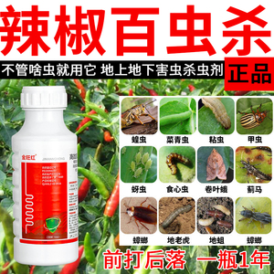 辣椒百虫杀专用农药杀虫剂敌百虫高效氯氟氰菊酯地上地下害虫通杀