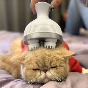 新春衣衣淘宝猫咪按摩器猫咪头部神狗猫头按摩爪电动自动器宠物按摩
