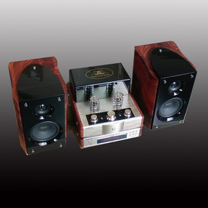 丹尼臣经典一号 黑胶cd dvd播放器 组合音响 前胆后石 胆机hifi