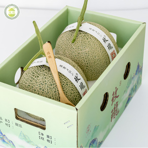 新款玫珑品牌进口种源国内种植玫珑蜜瓜网纹瓜2粒山水礼盒