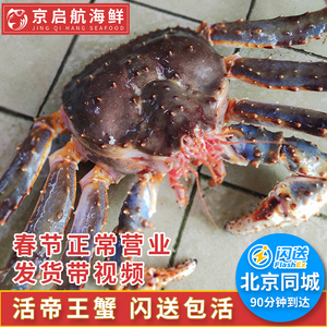 按只卖 北京闪送包活4-10斤阿拉斯加帝王蟹鲜活海鲜大螃蟹黄帝蟹